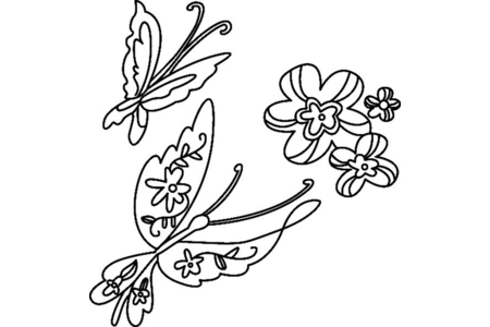 Coloriage Fleurs et papillons 09 – 10doigts.fr
